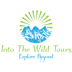 Into The Wild Tours logo