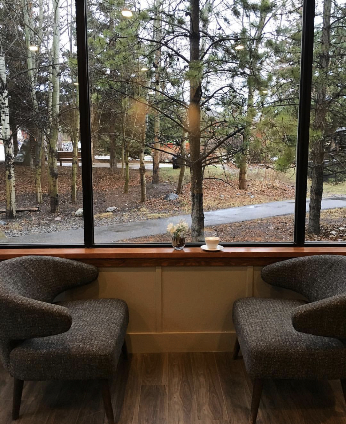Cozy Chairs by a window with a forest in the background