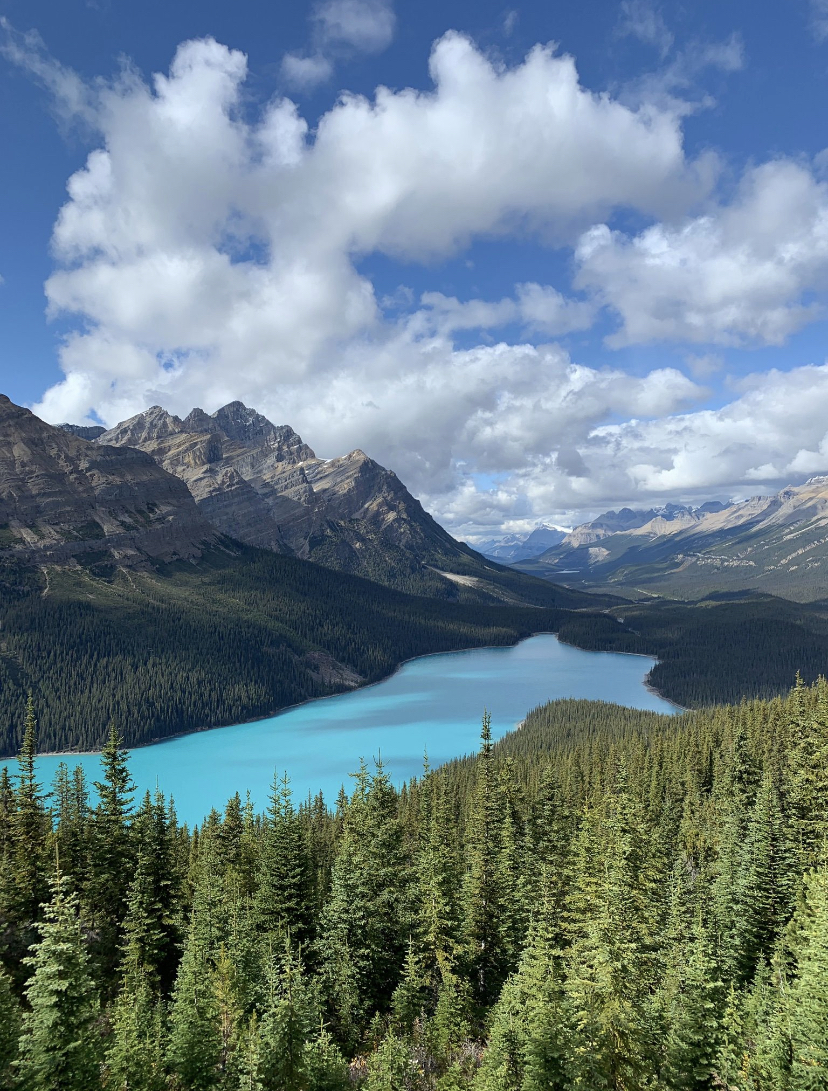 Peyto Lake Overlook Banff