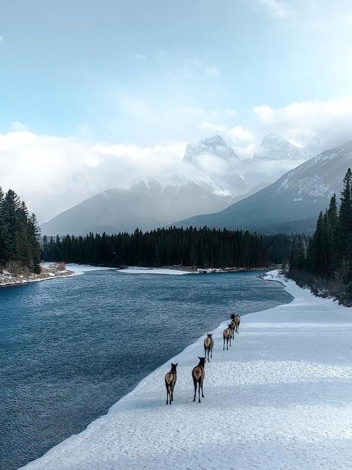 What to do on a cold day in Canmore