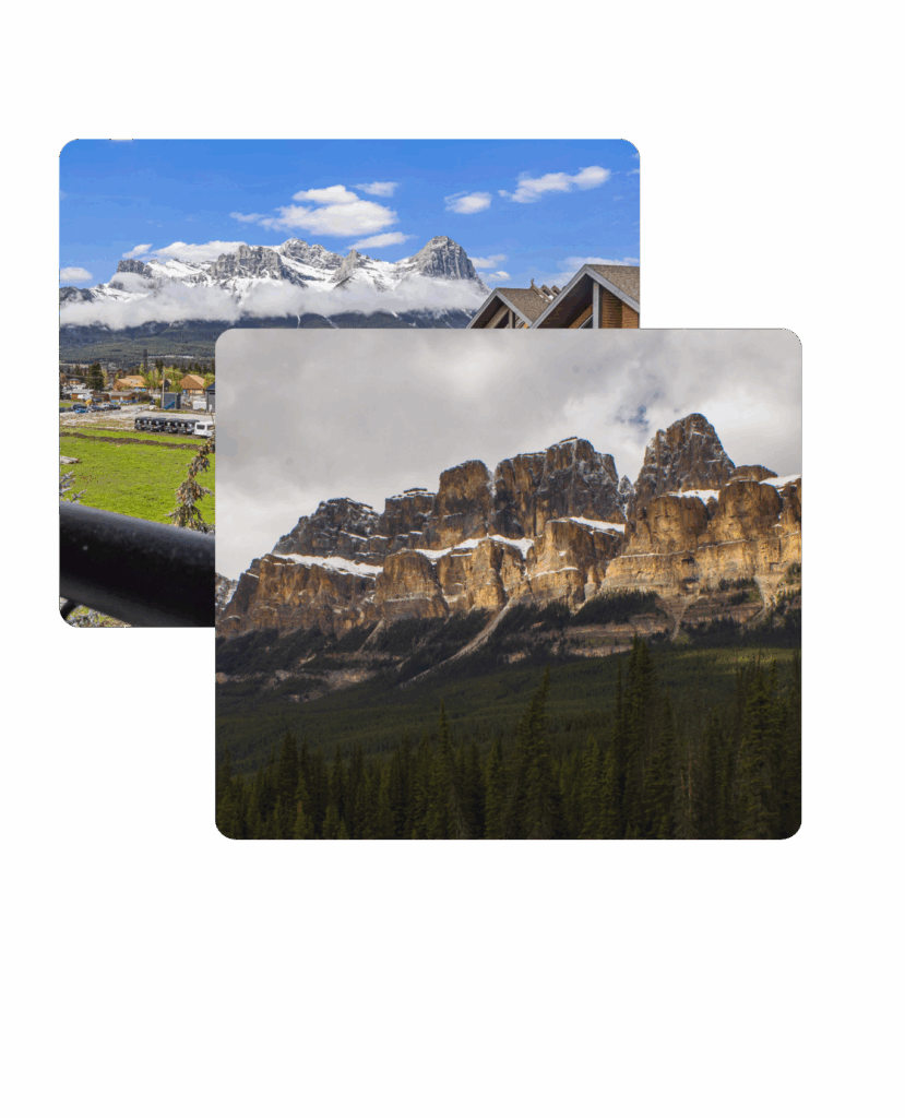 Untitled design (53)